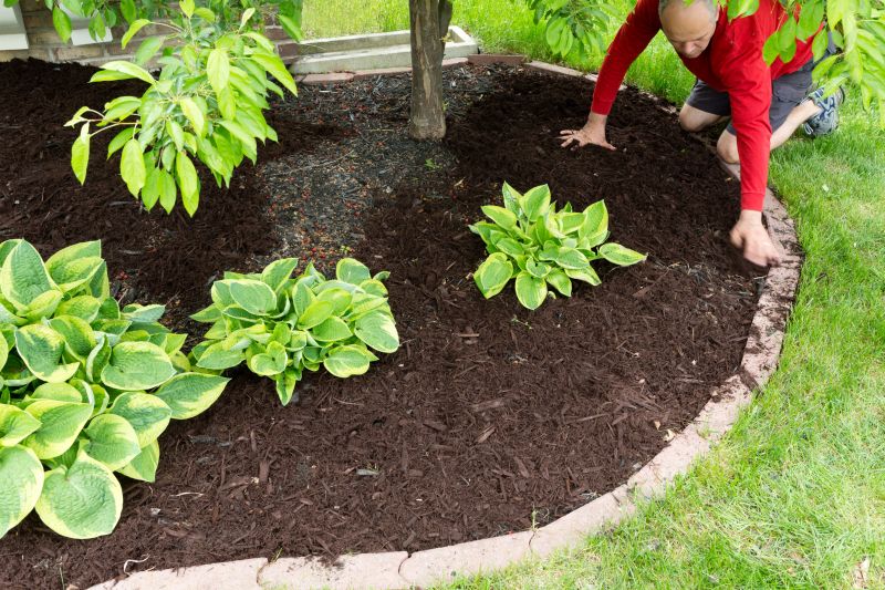 Planting and Mulching