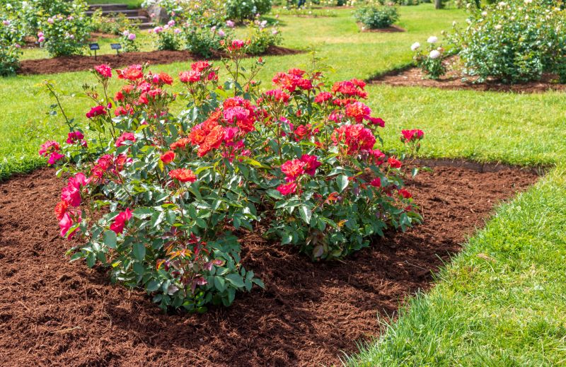Red Mulch Installation
