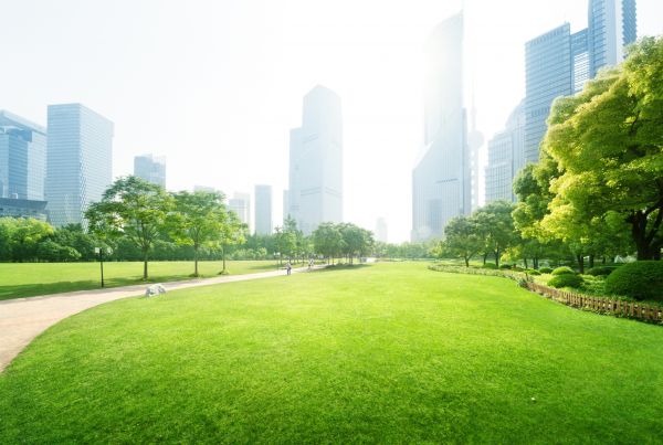 Commercial Landscape Maintenance in Federal Way