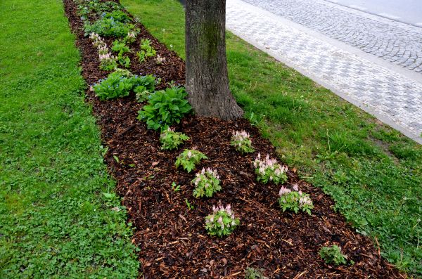 Mulch Replacement Service in Federal Way