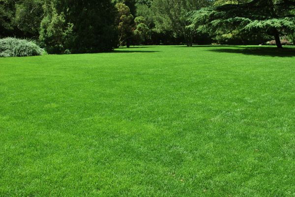 Lawn Landscaping in Federal Way