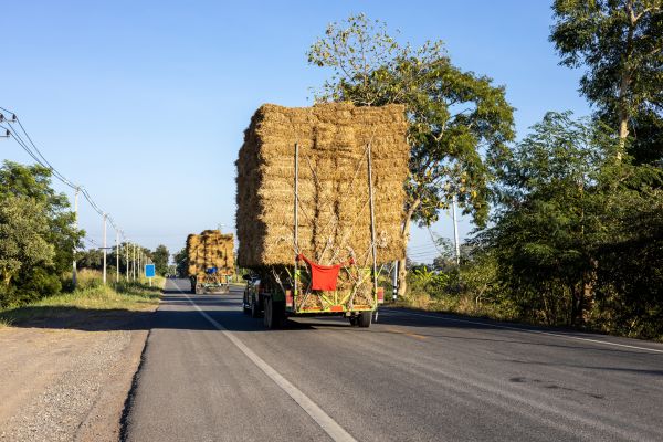 Pine Straw Delivery in Federal Way