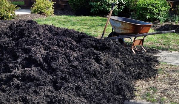 Black Mulch Delivery in Federal Way