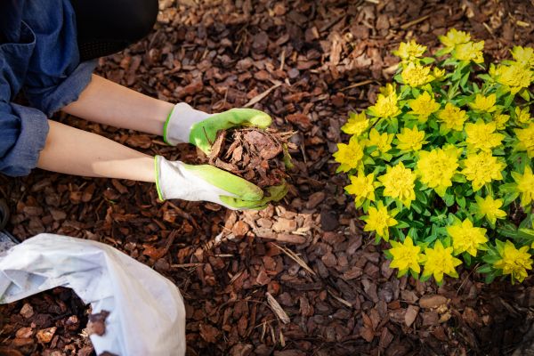 Garden Mulching in Federal Way