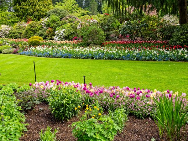 Residential Landscape Design in Federal Way
