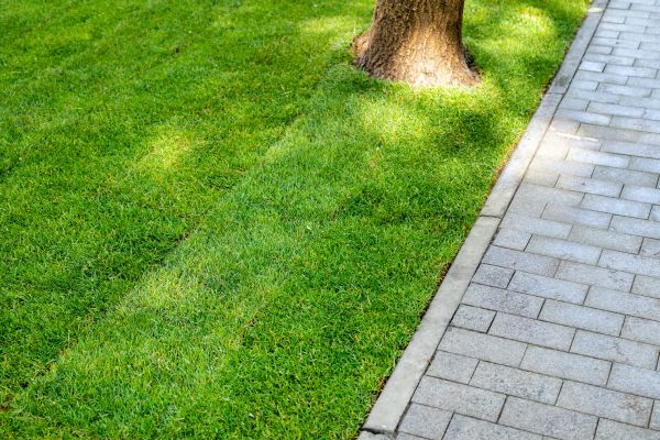 Border Stone Installation in Federal Way