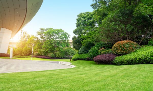 Business Landscape Design in Federal Way