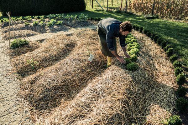 Straw Mulching Service in Federal Way
