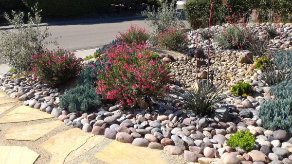 Xeriscape Landscaping in Federal Way