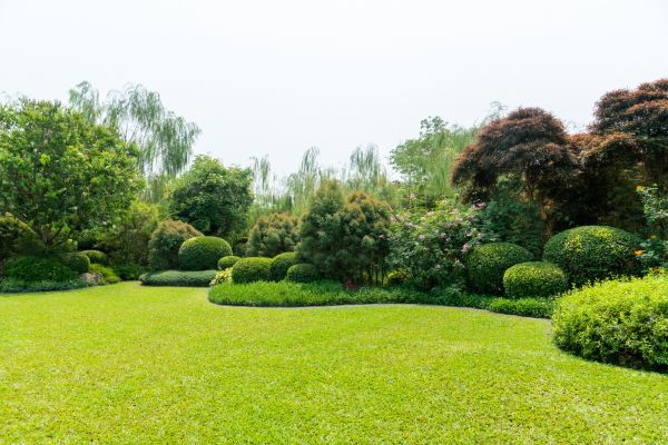 Tree Landscaping in Federal Way