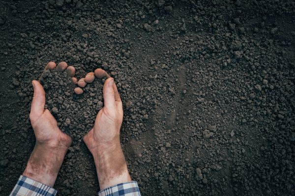 Soil Installation in Federal Way
