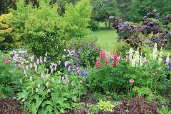Flower Bed Planting in Federal Way