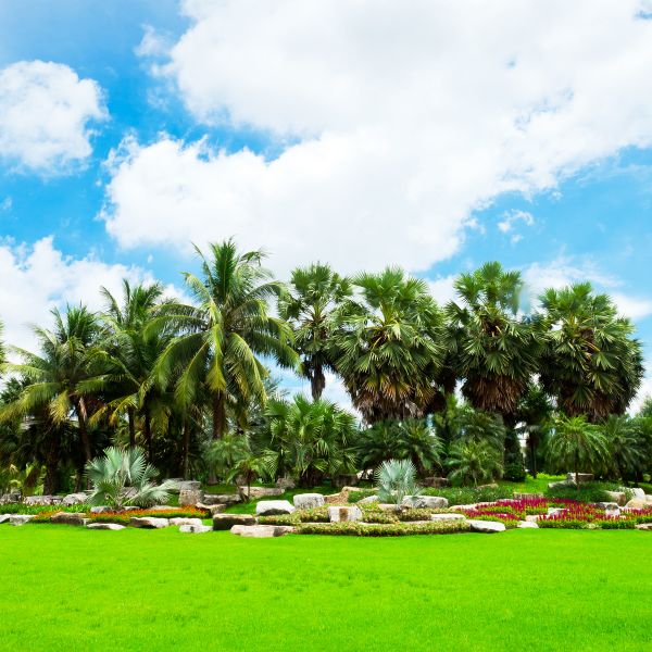 Tropical Landscaping in Federal Way