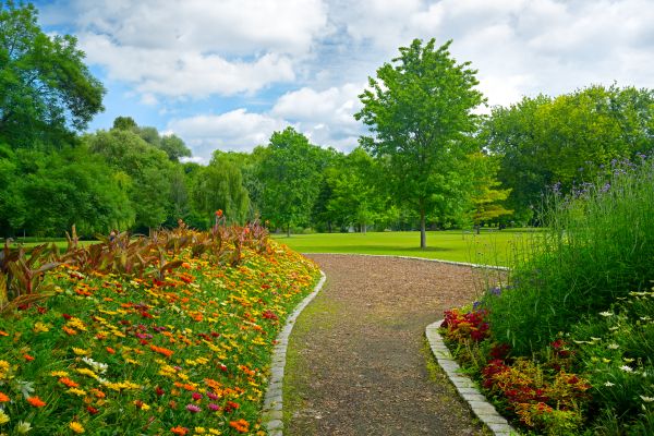 Park Landscaping in Federal Way