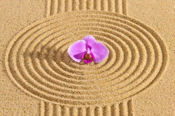Sand Garden Landscaping in Federal Way