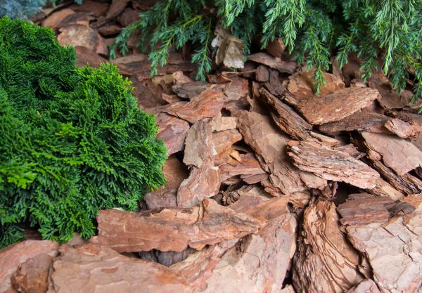 Pine Bark Installation in Federal Way