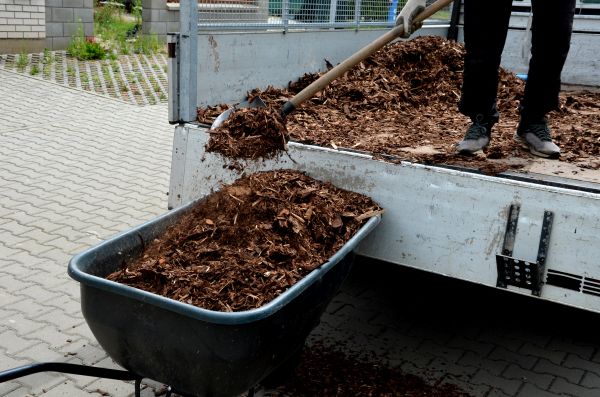 Cypress Mulch Delivery in Federal Way