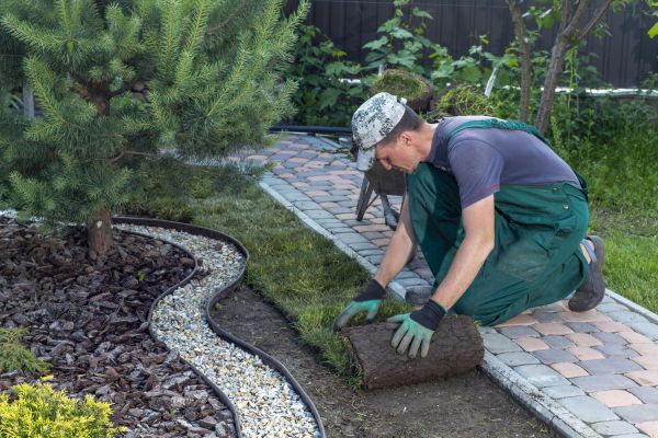 Landscaping Modification in Federal Way