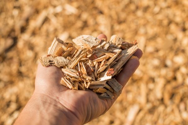 Wood Chips Spreading in Federal Way