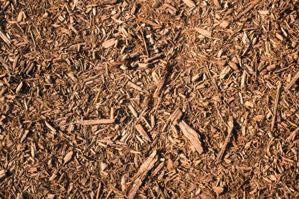Wood Chips Removal in Federal Way
