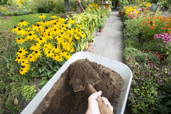 Topsoil Replacement in Federal Way