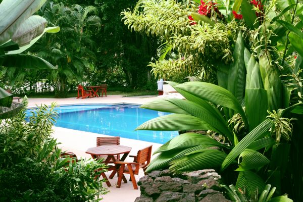 Pool Area Landscaping in Federal Way