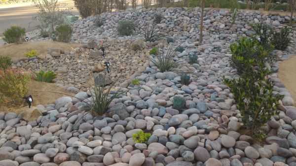 Yard Xeriscaping in Federal Way