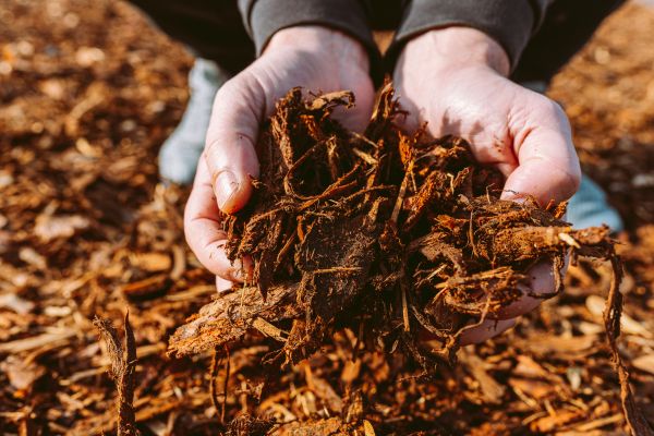 Bark Chips Delivery in Federal Way
