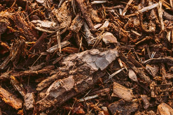 Bark Mulch Delivery in Federal Way