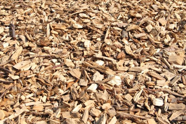 Wood Mulch Delivery in Federal Way