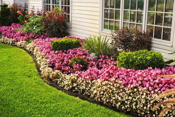 House Landscaping in Federal Way