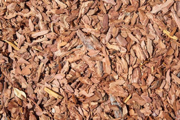 Pine Mulch Spreading in Federal Way