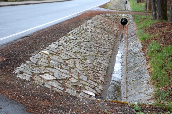 Ditch Landscaping in Federal Way