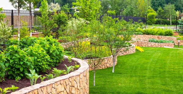 Yard Makeover Service in Federal Way