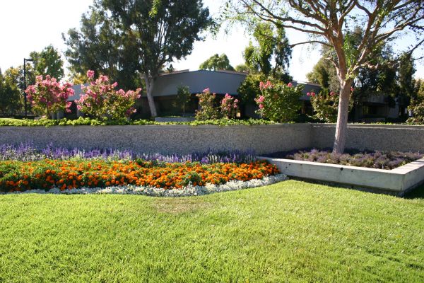 Commercial Landscape Service in Federal Way