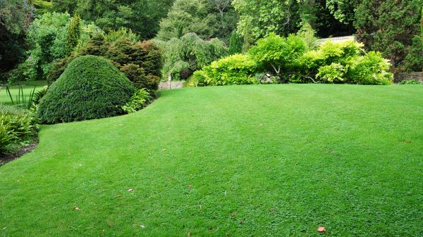 Commercial Landscape Design in Federal Way