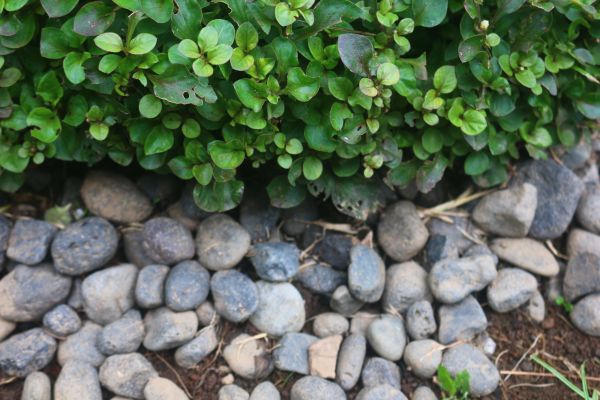 River Stone Installation in Federal Way