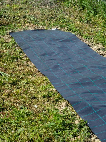 Weed Suppressant Installation in Federal Way