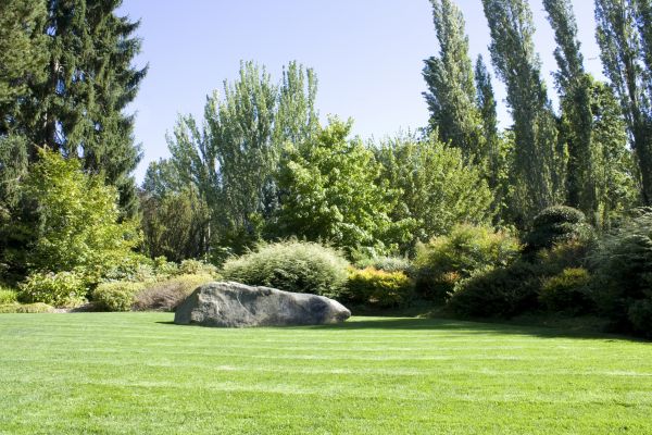 Yard Enlargement in Federal Way