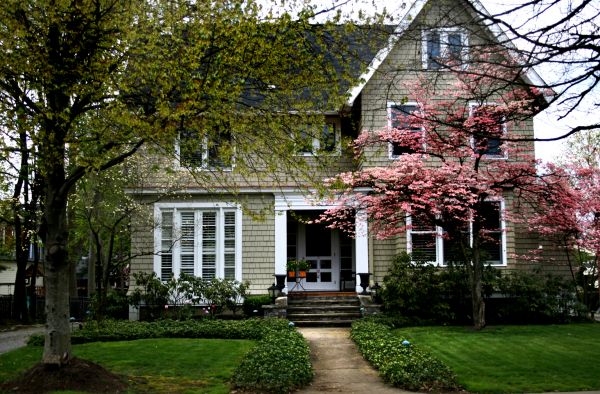 Ornamental Tree Planting in Federal Way
