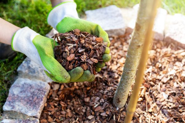 Tree Bark Delivery in Federal Way