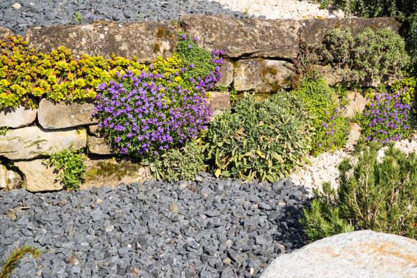 Landscaping Rocks Installation in Federal Way