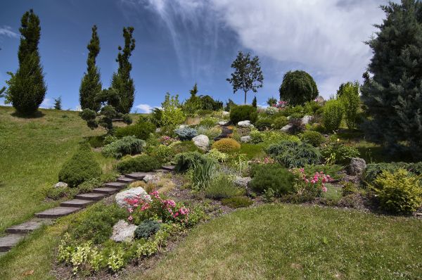 Steep Terrain Landscaping in Federal Way