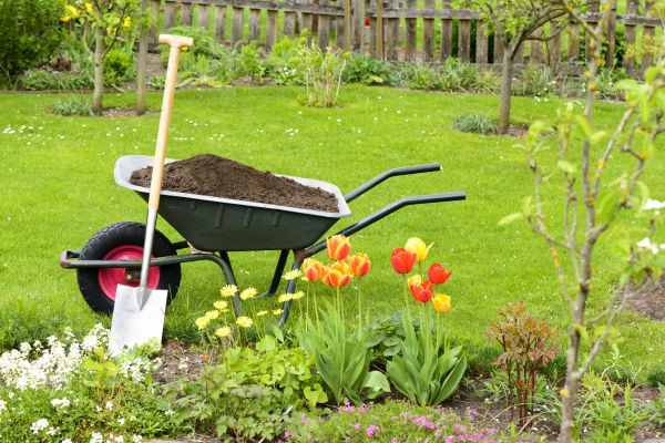 Spring Yard Renovation in Federal Way