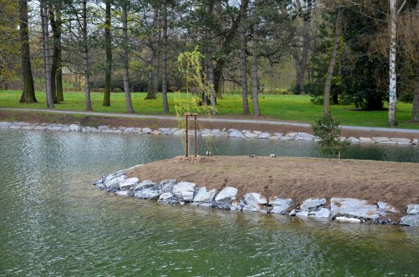 Pond Landscaping Service in Federal Way
