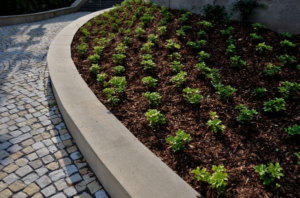 Commercial Mulching in Federal Way